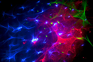 Illuminatus at Dow Museum'